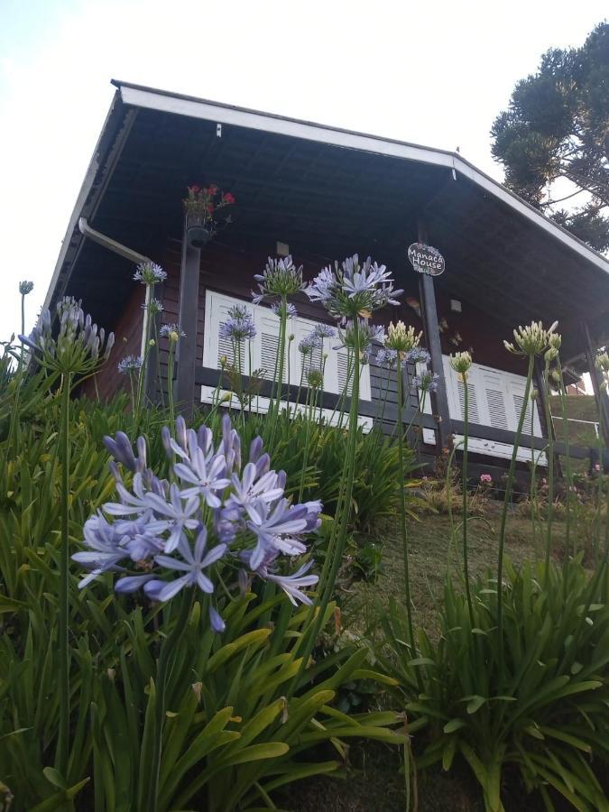 Manacá House
