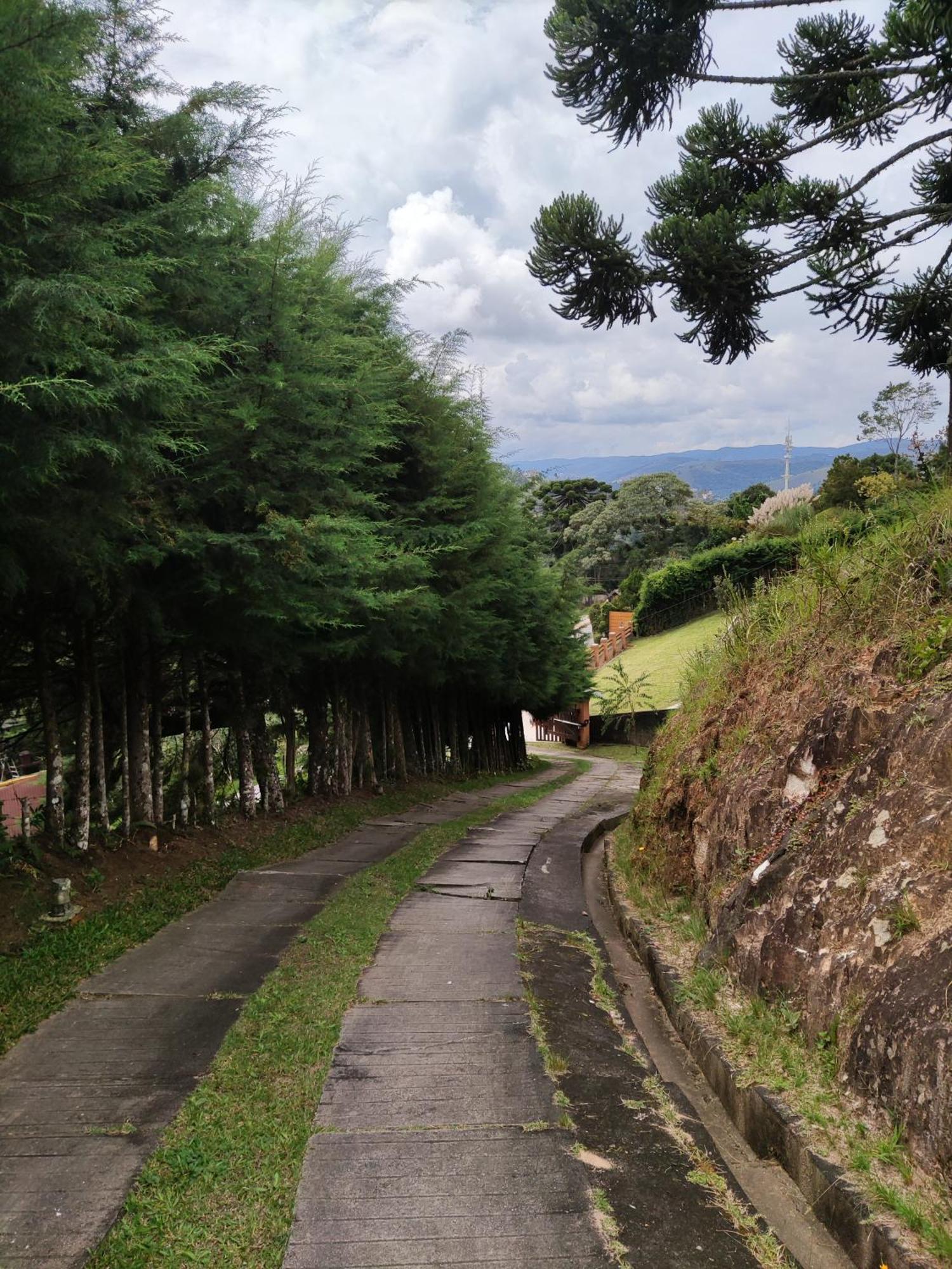 Manacá House * Campos do Jordão